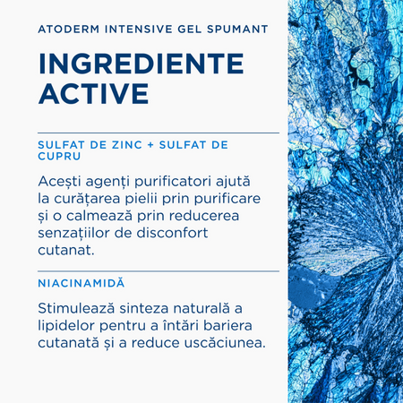 Gel spumant Intensive Atoderm, 1L, Bioderma 818709