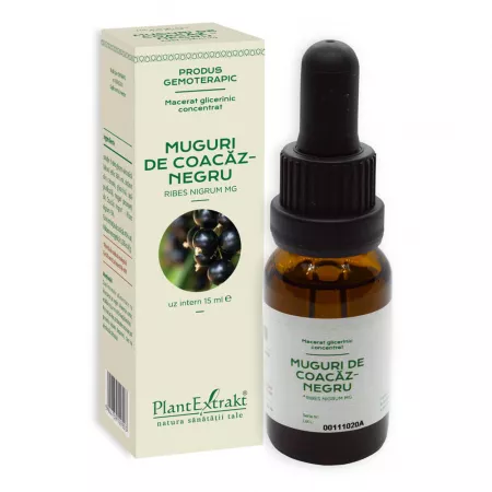 Muguri de coacaz negru, 15 ml, Plant Extrakt