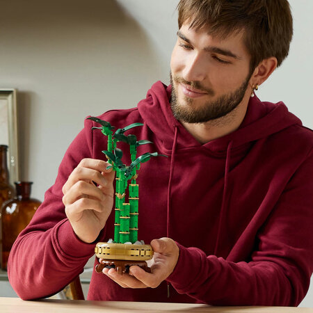 Bambus norocos Botanical Collection, 10344, + 18 ani, Lego 677187