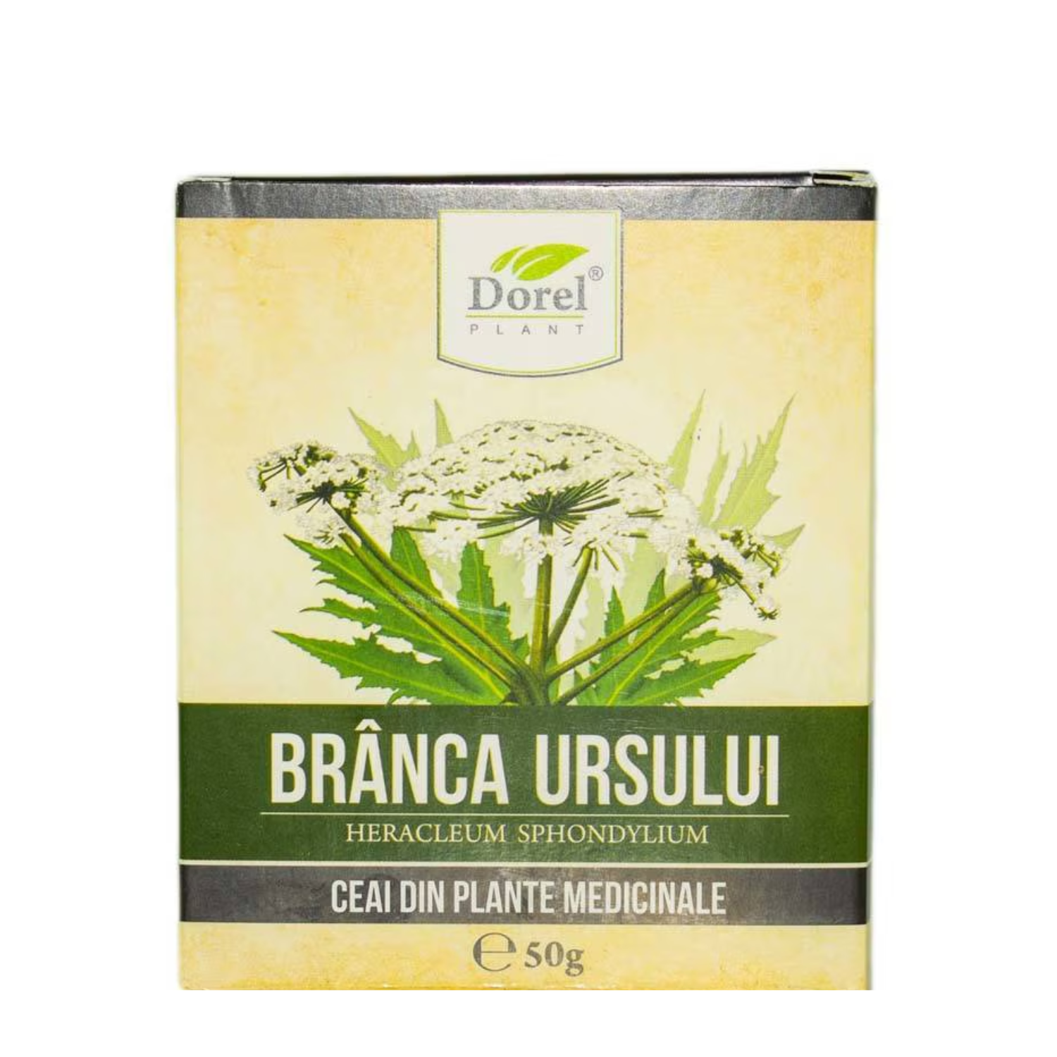 Ceai Branca Ursului, 50 g, Dorel Plant