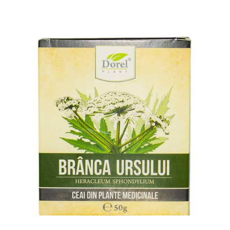 Ceai Branca Ursului Gruie Marin, 50 g, Dorel Plant