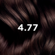 Vopsea permanenta pentru par PhyroColor, Nuanta 4.77 Intense Chestnut Brown, Phyto 678262
