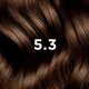Vopsea permanenta pentru par PhyroColor, Nuanta 5.3 Light Golden Brown, Phyto 678264