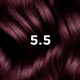 Vopsea permanenta pentru par PhyroColor, Nuanta 5.5 Light Mahogany Brown, Phyto 678272