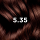 Vopsea permanenta pentru par PhyroColor, Nuanta 5.35 Chocolate Light Brown, Phyto 678283