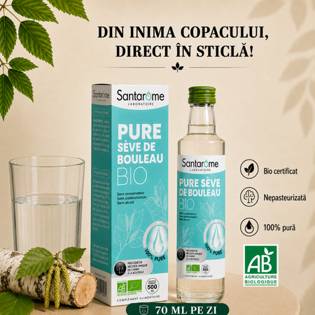 Seva de Mesteacan Pura Nepasteurizata Bio, 500 ml, Santarome 806476