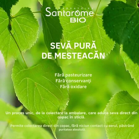 Seva de Mesteacan Pura Bio, 500 ml, Santarome 678381
