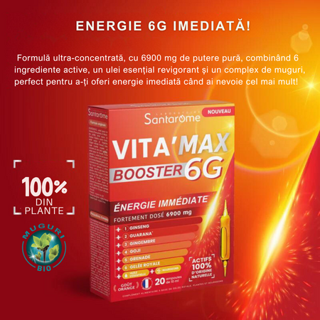 Vitamax 6G, 20 fiole x 10 ml, Santarome 678402