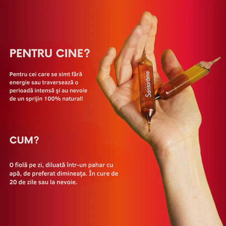 Vitamax 6G, 20 fiole x 10 ml, Santarome 678405
