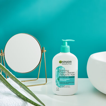 Garnier Crema de curatare Hyaluronic Aloe Skin Naturals, 250 ml, Loreal 680236