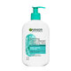 Garnier Crema de curatare Hyaluronic Aloe Skin Naturals, 250 ml, Loreal 680241