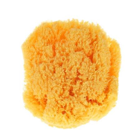 Burete natural de mare, Dermacotone 681525