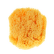 Burete natural de mare, Dermacotone 681525