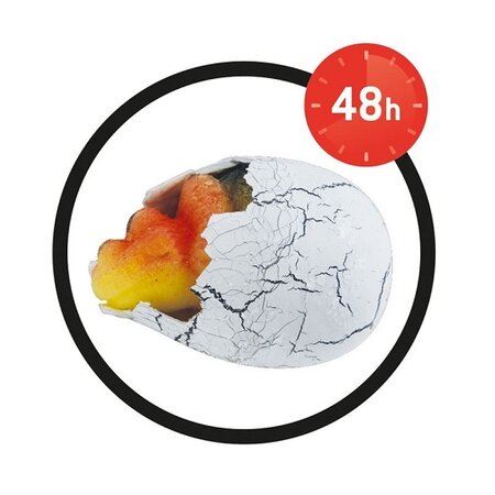 Oul magic Dino, +4 ani, Buki 458572