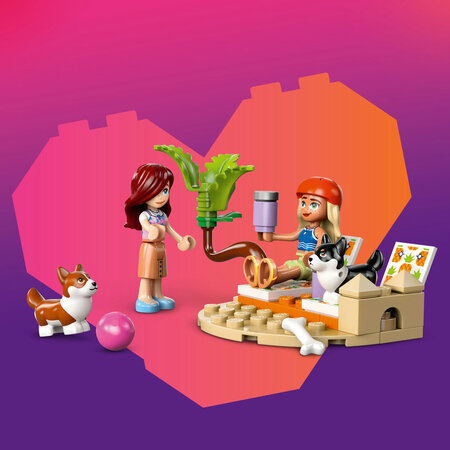 Aventuri cu catei la surfing si pe scuter Friends, 42641, + 6 ani, Lego 682460