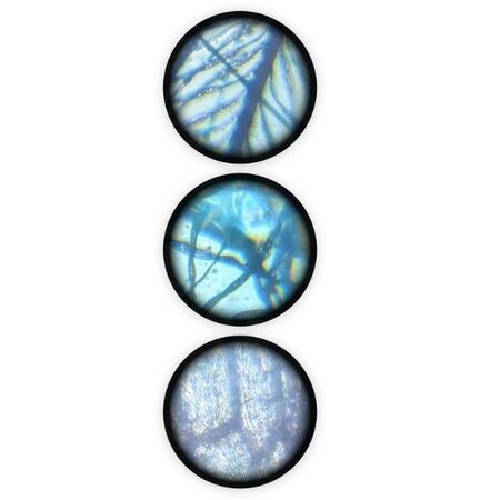 Microscop 15 experimente, 6 ani+, Buki 458640