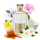 Parfum de camera, Leather Vanilla, 100 ml, Cashmere Aroma 685245