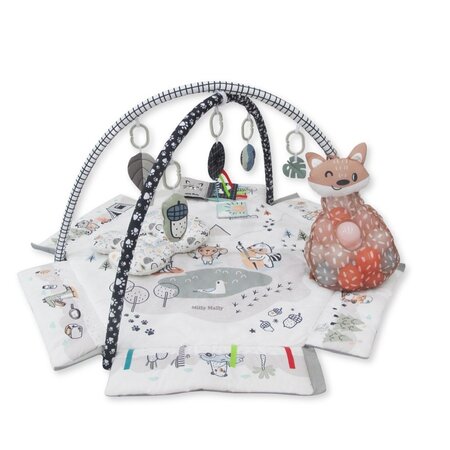 Centru de activitati multifunctional 5 in 1, Minky, Milly Mally 685179