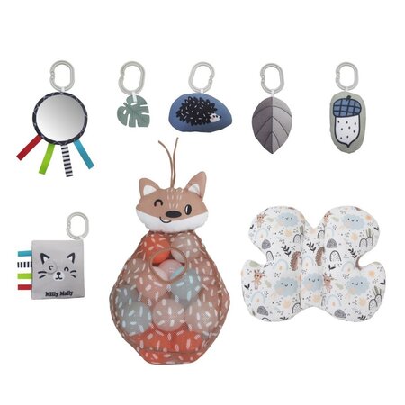 Centru de activitati multifunctional 5 in 1, Minky, Milly Mally 685183