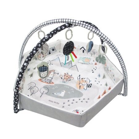 Centru de activitati multifunctional 5 in 1, Minky, Milly Mally 685180