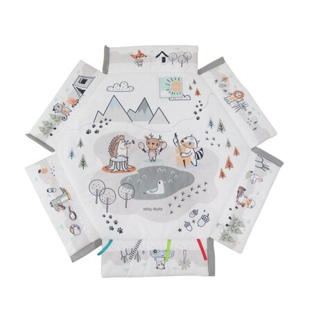 Centru de activitati multifunctional 5 in 1, Minky, Milly Mally 685182