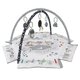 Centru de activitati multifunctional 5 in 1, Minky, Milly Mally 685177