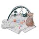 Centru de activitati multifunctional 5 in 1, Minky, Milly Mally 685176