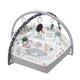 Centru de activitati multifunctional 5 in 1, Minky, Milly Mally 685180