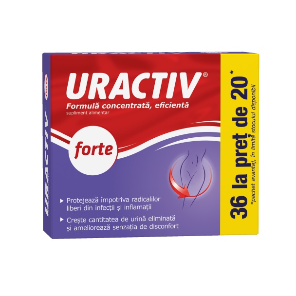 Uractiv Forte, 20 + 16 capsule, Terapia