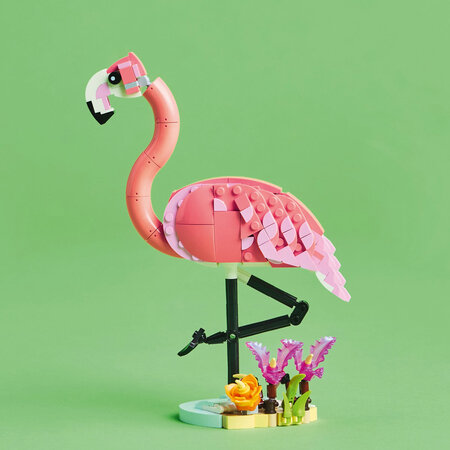Animale salbatice flamingo roz Creator, +8 ani, 31170, Lego 689668