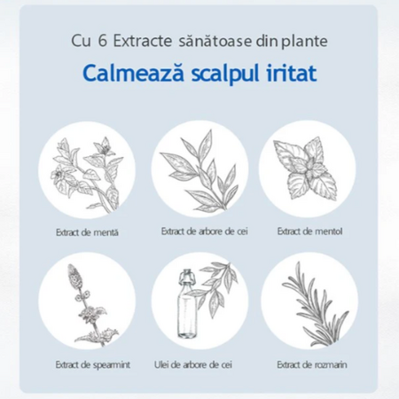Sampon racoritor pentru scalp Himalaya Herb, 1 litru, Nard 689944