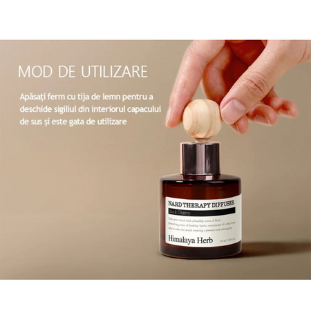 Difuzor parfumat de terapie Himalaya Herb, Black Cherry, 2x50 ml, Nard 693761
