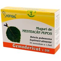 Gemoderivat muguri mesteacan pufos, 30 monodoze, Hofigal