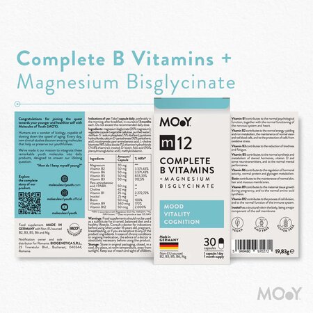 Complete B Vitamins + Magnesium Bisglycinate M12, 30 capsule, Molecules of Youth 691536