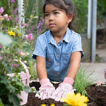 Manusi pentru gradinarit Fairy Garden, Roz, 3 ani+, Little Dutch 693437