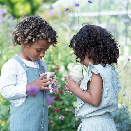Borcan pentru insecte Fairy Garden, Roz, 3 ani+, Little Dutch 693534
