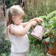 Stropitoare Fairy Garden, Roz, 3 ani+, Little Dutch 693624