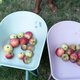 Roaba pentru copii Fairy Garden, Roz, 4 ani+, Little Dutch 693664