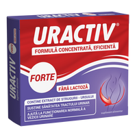 Uractiv Forte fara lactoza, 10 capsule, Terapia