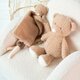 Jucarie de plus, Teddy Ursuletul, Nattou 695092