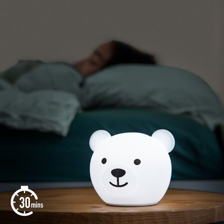 Lampa de veghe, Ursuletul Bor, 0 luni+, Zazu Kids 696333
