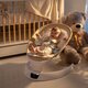 Leagan electric pentru bebelusi Evoque, Bubble Beige, Appekids 696575