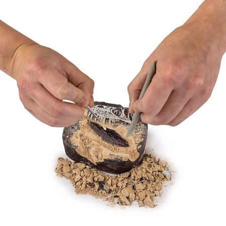 Kit Creativ STEM Sa Cautam Dinozauri, 8 ani+, National Geographic 696954