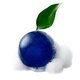 Sapun gelatinos cu extract de floare Butterfly Pea, 110 g, Ongredients 697014