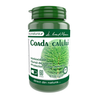 Coada Calului, 60 capsule, Pro Natura