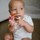 Jucarie zornaitoare cu inel gingival, 3 luni+, Babyono 698188