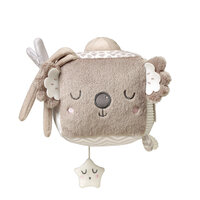 Jucarie cub cu activitati, Koala Coco, 0 luni+, Babyono
