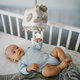 Jucarie cub cu activitati, Koala Coco, 0 luni+, Babyono 698298