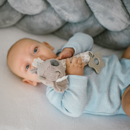 Jucarie chitaitoare, Koala Coco, 0 luni+, Babyono 698388