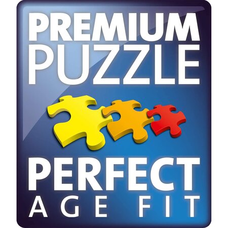Puzzle Minecraft, 9 ani+, 300 piese, Ravensburger 698823